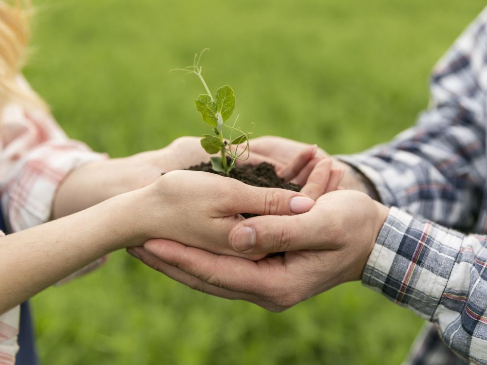Die Bewahrung der Schöpfung liegt in unseren Händen Hände verschiedener Generationen halten gemeinsam einen kleinen grünen Spross als Symbol für Schöpfungsverantwortung und die Zukunft des Lebens.