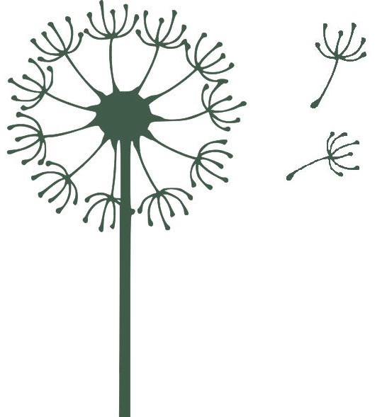Eine Pusteblume, deren Samen davonfliegen, als Symbol für den Beginn einer nachhaltigen Veränderung in Ihrer Kirchengemeinde.